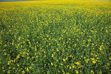 小鬼王琳凯同款VR音游《乐动未来·音计划》白嫖指南！