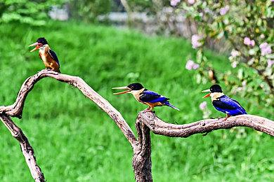 即时城镇建造《Townscaper》将于8月结束Steam抢先体验